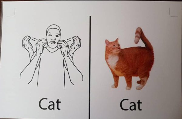 Educational Flash Cards